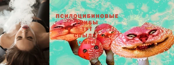 дурь Костерёво