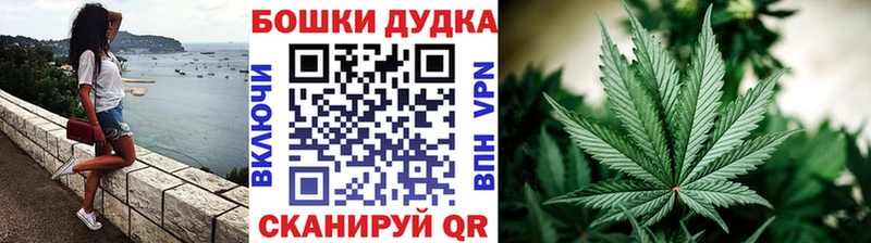 Конопля план  Фокино 
